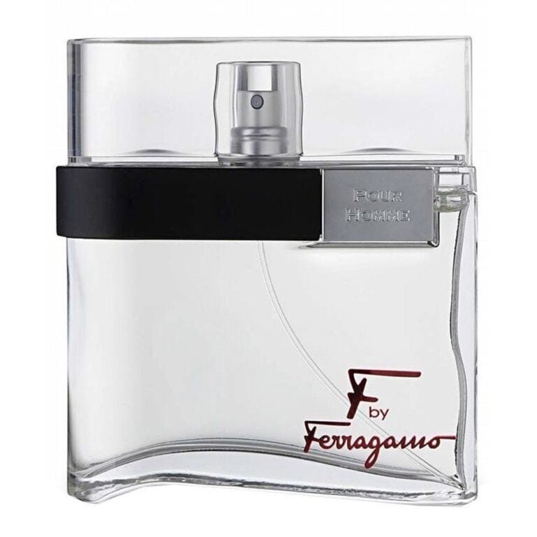 F by Ferragamo Pour Homme Salvatore Ferragamo EDT 100ML for Men - Image 2