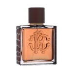 Roberto Cavalli Uomo Deep Desire EDT 100ML for Men - Image 2