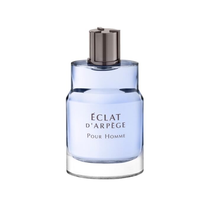 Lanvin Eclat d'Arpege Pour Homme EDT 100ML - Image 2