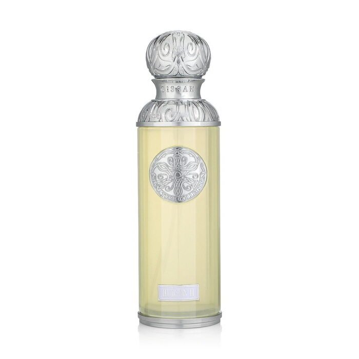 Gissah Hudson II EDP 200ML - Image 2