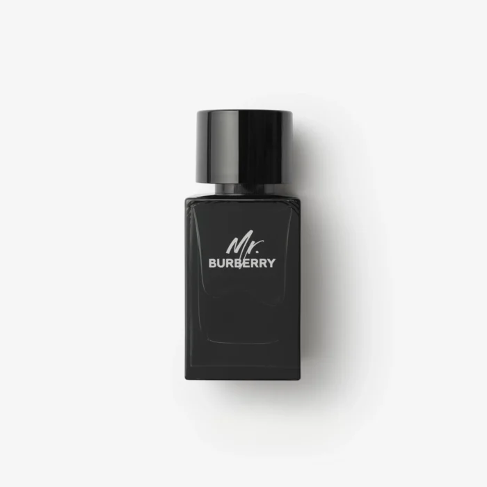 Mr Burberry EDP 100ML for Men - Image 2
