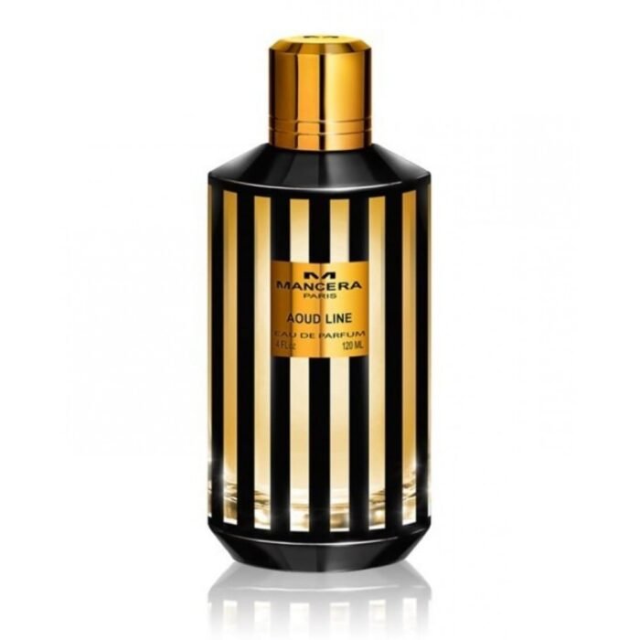 Mancera Aoud Line EDP 120ML - Image 2